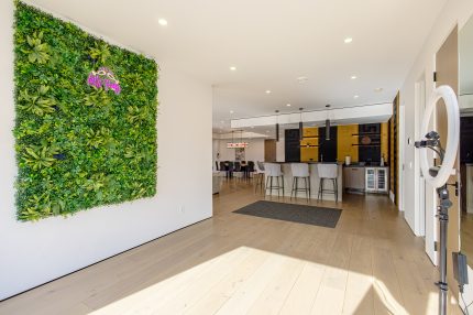 Downstairs Selfie Area