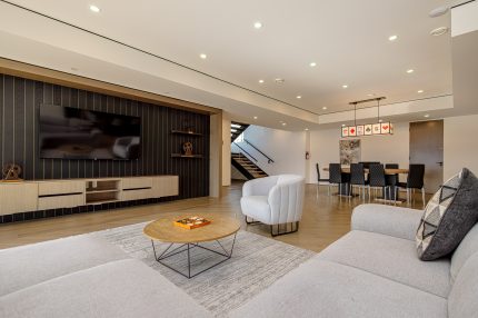 Downstairs Livning Room