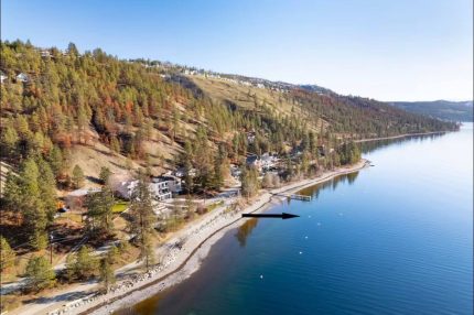 92515c8f-acc7-463d-b437-68666d9ba201