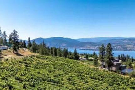 c305d3a3-b889-4e04-90e5-626bd363b45d